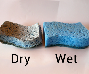 dry sponge vs wet sponge