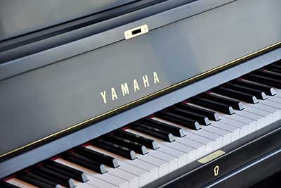 yamaha p22