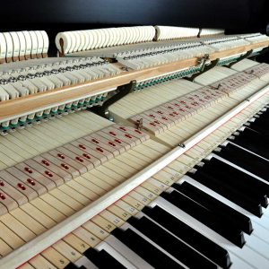grand piano action regulation